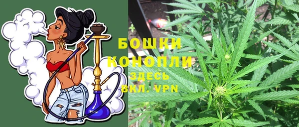 PSILOCYBIN Аркадак