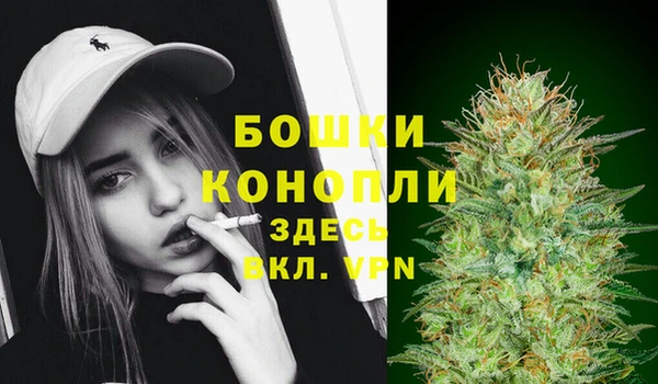 PSILOCYBIN Аркадак
