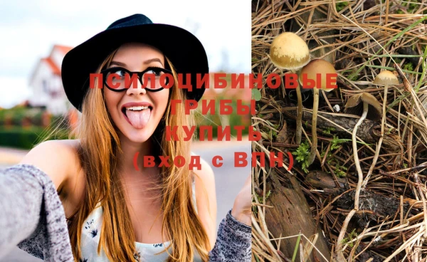 PSILOCYBIN Аркадак