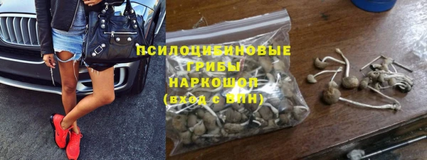 гидра Армянск