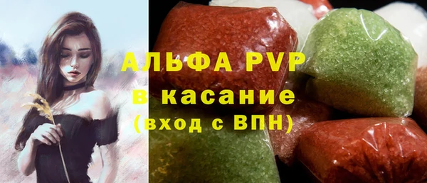PSILOCYBIN Аркадак