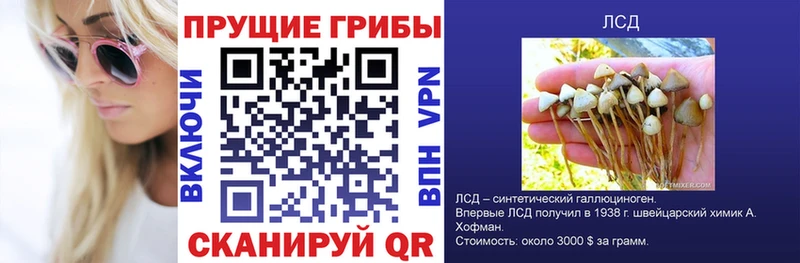 Галлюциногенные грибы Psilocybine cubensis  Октябрьск 